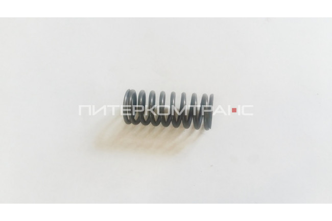 Пружина клапана наружная CDM855 403723