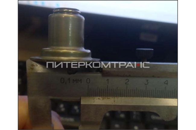 Колпачок маслосьемный D=14 (с юбкой) WP10 Евро5 X3000