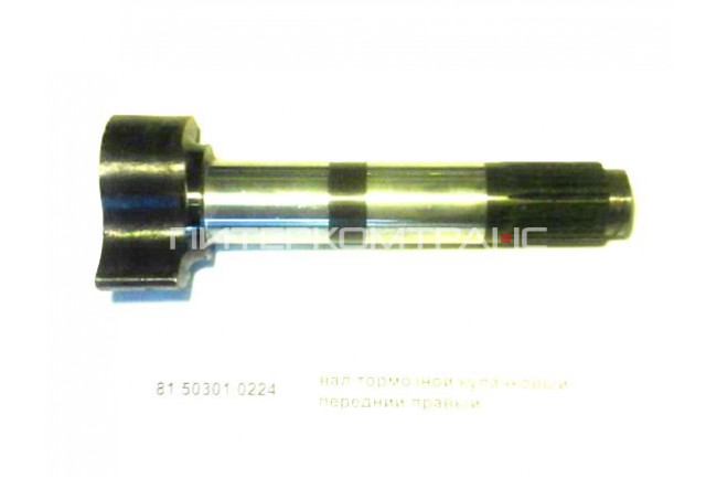 Вал тормозной кулачковый передний правый L=260, Z=26 F2000,F3000