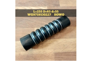 Патрубок радиатора нижний  L=255, d=55 WD615