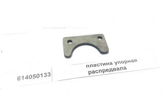 Пластина стопорная распредвала